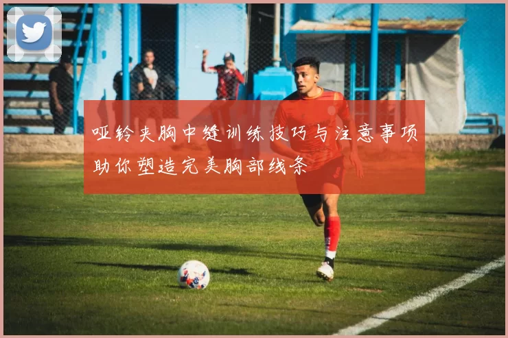 哑铃夹胸中缝训练技巧与注意事项助你塑造完美胸部线条