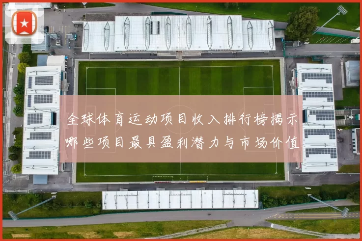 全球体育运动项目收入排行榜揭示哪些项目最具盈利潜力与市场价值